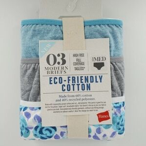 3 Pair Hanes Modern Brief Panties